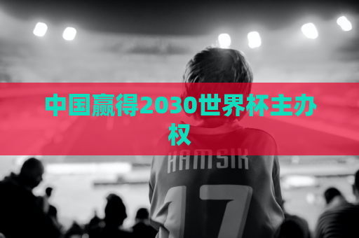 中国赢得2030世界杯主办权