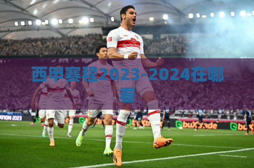 西甲赛程2023-2024在哪看
